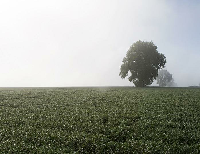 жара, земля, глобальное потепление, экстремальная, прогноз, ученые, погода, катастрофа, солнце