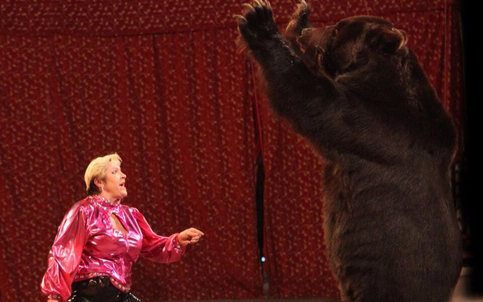 Из жизни ушла знаменитая дрессировщица Надежда Такшантова, укротившая 600-килограммового медведя 