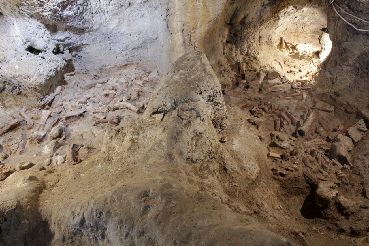 Итальянские археологи нашли останки неандертальцев