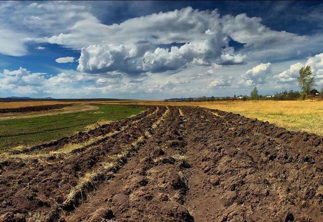 Закон о земле: у Зеленского ответили, смогут ли россияне приобрести украинскую землю