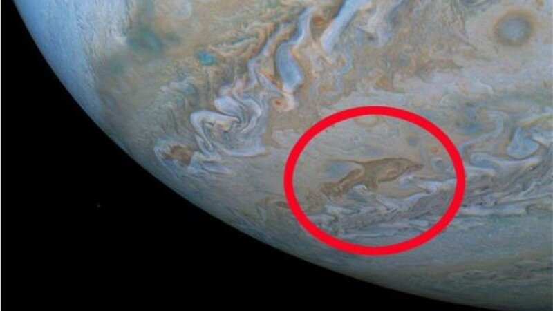 Дельфин длиной в тысячи километров: облака Юпитера сформировали гигантскую структуру