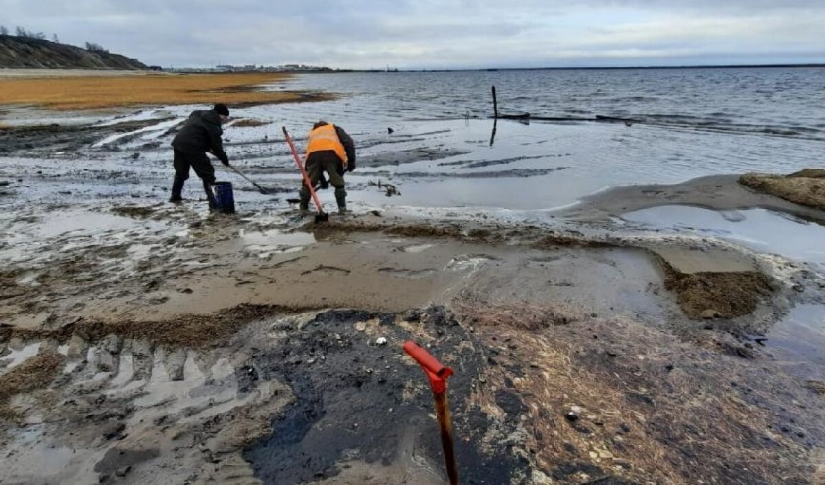 Экологическая катастрофа на Камчатке: после экспертизы в СК назвали основную версию
