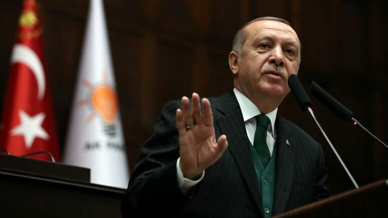 Эксперт Le Figaro призвал как можно скорее исключить Турцию из НАТО