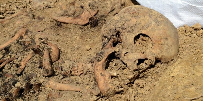 Сенсационная находка в Ровенской области: археологи раскопали останки польского князя Чарторыйского 