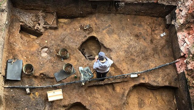 ​Удивительная находка в Подмосковье: археологи обнаружили жилище первобытного человека и череп мамонта - кадры