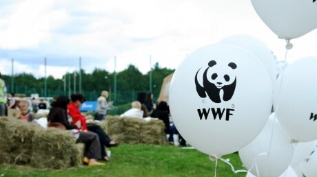 WWF: на грани масштабного исчезновения оказались некоторые виды фауны