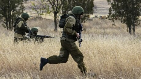 Григоров назвал два способа борьбы с диверсиями Украины на границе с РФ