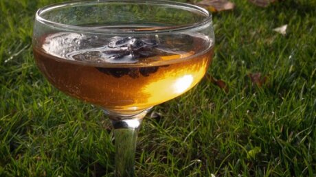 Канада, Наука, Эпидемия, Грипп, Вирус, Здоровье, Медицина, Напитки, Лечение