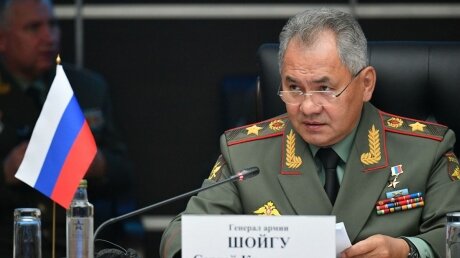 ​Шойгу прокомментировал идею создать "Армию Турана", напомнив, что в России также есть тюркоговорящие