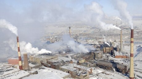 Никель в Норильске может уничтожить 90% животных на планете Земля