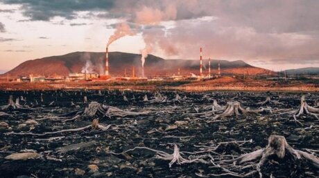 Опубликован секретный прогноз Ванги до конца века: война, ледниковый период и страшный вирус