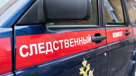 Сына хоккеиста Соколова задержали по подозрению в убийстве матери