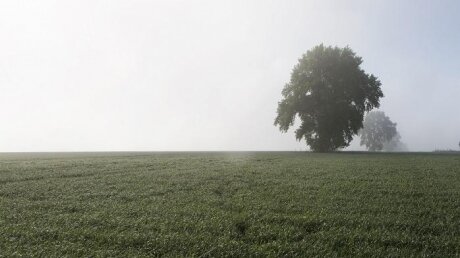 жара, земля, глобальное потепление, экстремальная, прогноз, ученые, погода, катастрофа, солнце