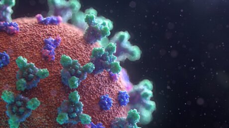 Назван гормон, повышающий риск осложнений и смертности от коронавируса