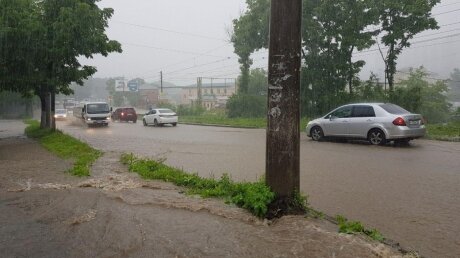 ​Сильные ливни во Владивостоке затопили улицы: синоптики дали прогноз на выходные