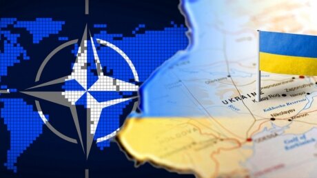 На Украине признались во лжи о взаимоотношениях с НАТО