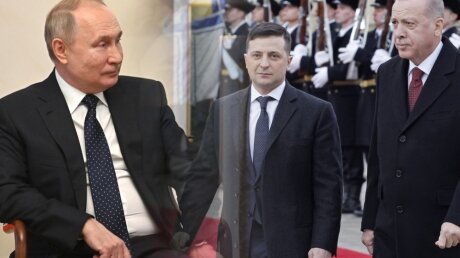 Зеленский, увидев Эрдогана, отказался от слов о месте встречи с Путиным