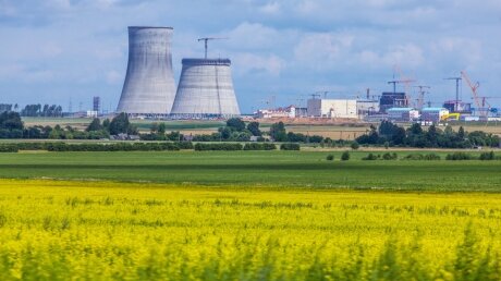В Белоруссии подтвердили остановку выработки электроэнергии на АЭС