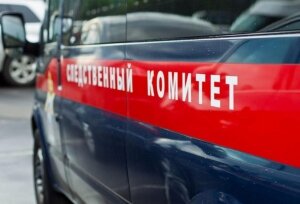 камчатка, школьница, студенты, избили, секрет, длинный язык