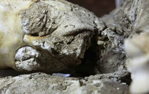 Наука и техника, 06.10.2016, science, Происшествия,Общество,Наука,Техника,Технологии,Видео, смотреть, новости россии, мира, видео, фото, москва, путин, проишествия, онлайн, трансляция, 2016, новости дня, последние, новости сегодня, Российский Диалог