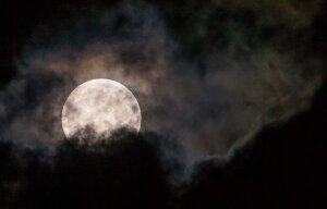 наука,технологии,общество,москва,метеорный поток,суперлуние,созвездие,ноябрь