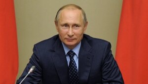 россия, путин, россияне, общество, левада-центр, происшествия, рейтинг