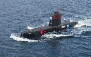 подлодка, видео, шведская журналистка, наутилус, дания, обезглавливание, расчленение