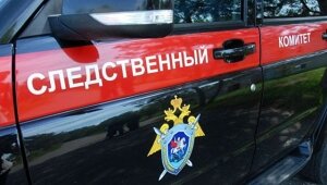 петербург, убийство, блокадный Ленинград, психбольной, происшествия, новости россии, задушил