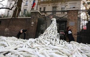 Великобритания, Россия, посольство, Сирия, Алеппо, активисты, пластиковые трубы