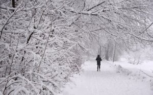 погода в москве, снег, гололед, выходные, синоптики, температура