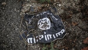 сирия, война, игил, терроризм, убит лидер, Абу Мохаммед аль-Аднани