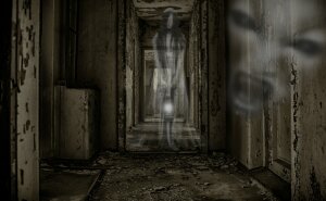 наука,технологии,общество,происшествия,мнение,призрак,индия,аномальное явление