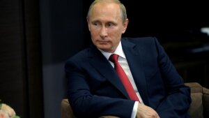 путин, россия, рейтинг, поддержка, общество, политика, доверие