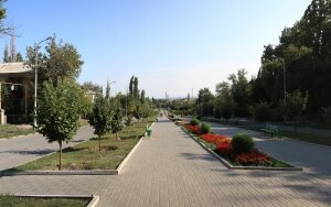 новости, происшествия, криминал, вандализм, общество, россия, памятник, великая отечественная война