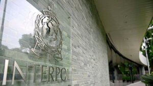 славянск, задержание, россиянка, убийство, экстрадиция, криминал, новости украины, донбасс