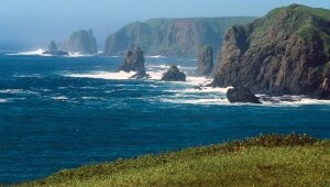 Токио, Япония, Россия, Курилы, управление, администрирование, Синдзо Абэ, Москва, Токио