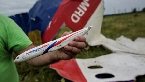 Нидерланды, МИД Нидерландов, Россия, посол России, MH17, Boeing, Донбасс, трагедия, следствие, реакция, Москва, расследование