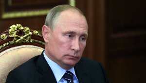 Путин, испания, россия, каталония, политика, референдум
