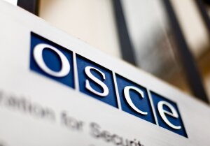 ОБСЕ, США, нарушения, выборы, штаты, голосование, президент, наблюдатели, избиратели