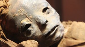 Наука, Египет, Археология, История, Инопланетяне, Пришельцы, Мумии, Гробница, Гуманоиды, Тайна, Загадка, Исследования