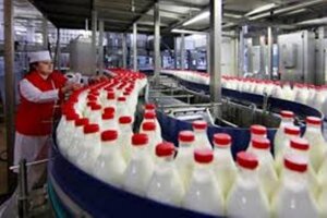 россельхознадзор, молочная продукция, белоруссия, запрет, экономика, нарушения. потребители. обещство