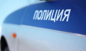 педофилы, вымогательство, криминал, происшествия, полицейские, москва, новости россии, дети