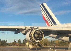Фрэнсис Бин Кобейн, лайнер, Air France A380, летела, дочь Курта Кобейна, взорвался двигатель