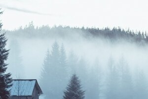 Венгрия, "белая смерть", природное явление, туман, низкая температура, аномалия, холод, мистика, синоптики