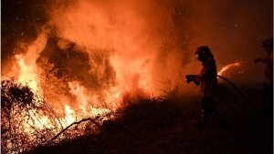 лесные пожары, Португалия, Испания, эвакуация, погибшие
