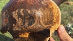 наука,технологии,общество,происшествия,мнение,череп,солдат