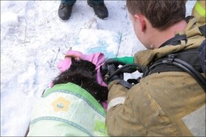 Пожар, спасение, новости, происшествия, россия, смоленск, общество, новости дня, видео, женщина, кот, мчс