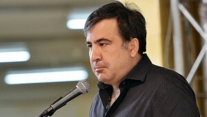 Михаил Саакашвили, Украина, Венгрия, Закарпатье, реакция, митинг