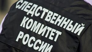 Россия, Москва, Китай, ограбление. нападение, стрельба, топоры, происшествие. задержание, сумка, деньги, миллион