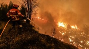 Португалия, лесные пожары, происшествия, природные катастрофы, общество, сгорели, погибли, люди, леса